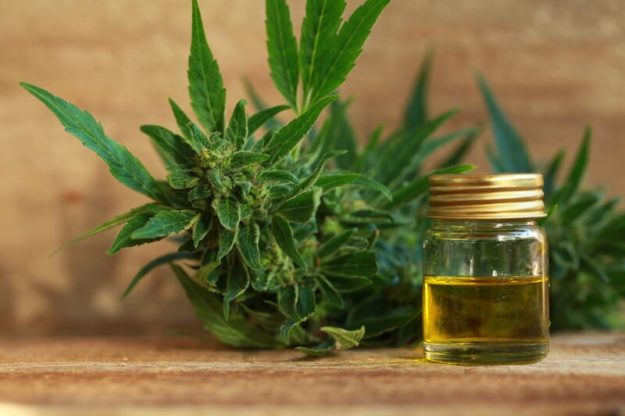 CBD marijuana